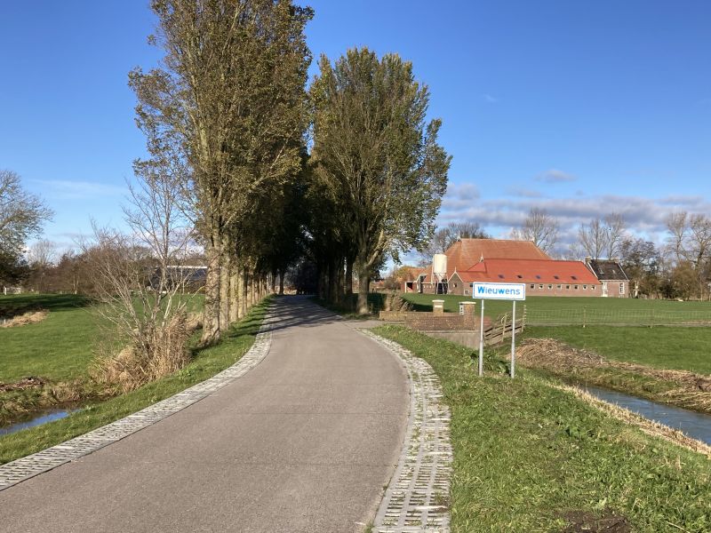 Wieuwens