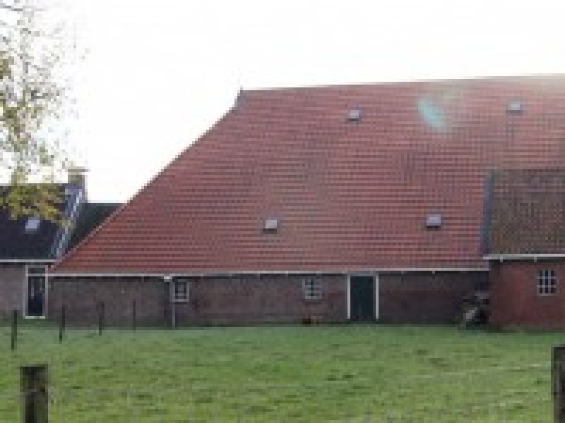 Wieuwens 1