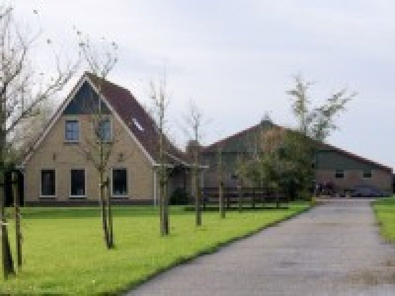 Wieuwens 2a